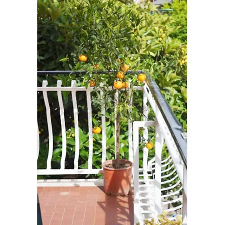 Casa Celeste 게스트하우스 로마