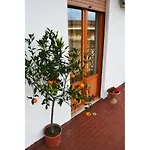 Casa Celeste Penzion