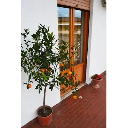 Casa Celeste ゲストハウス