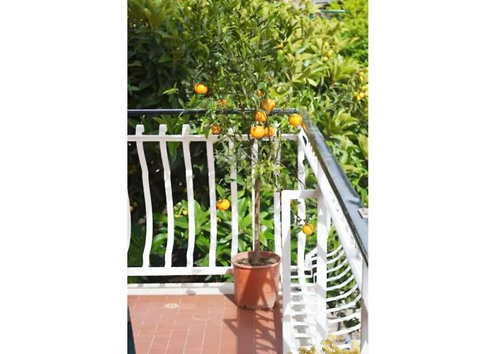 Casa Celeste Affittacamere Roma